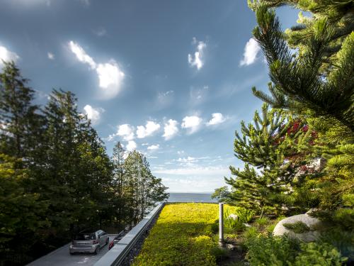 Extensive green roof